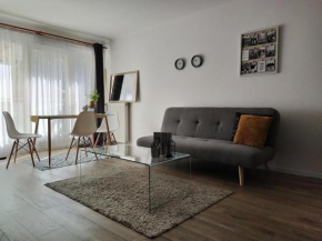 Spacious apartment in hip neighborhood